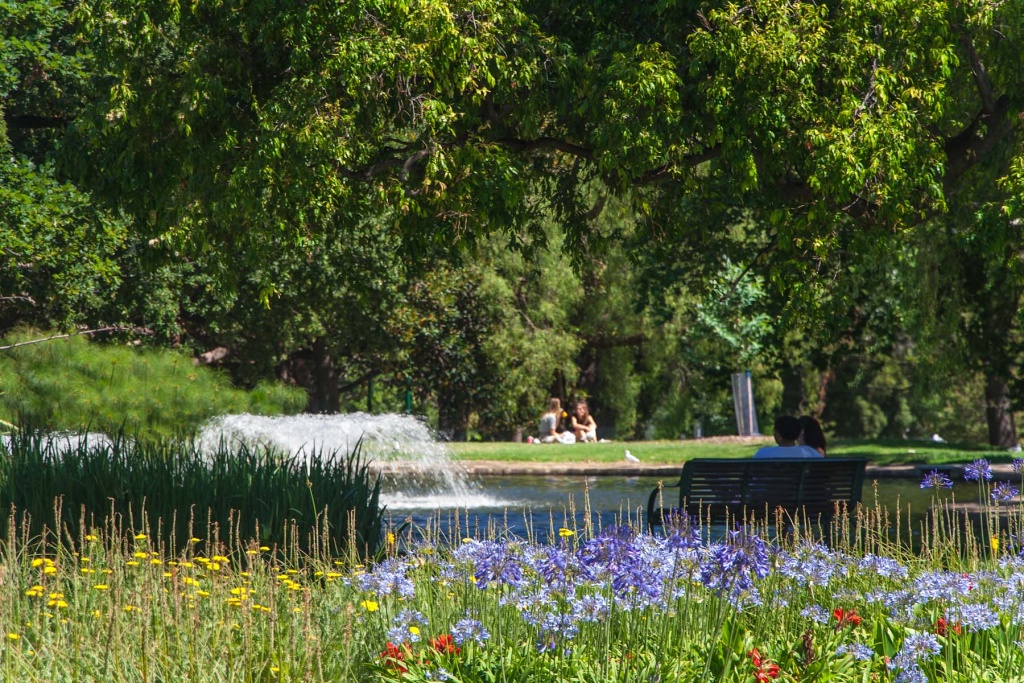 Im zoommber 27 décembre | 15h27