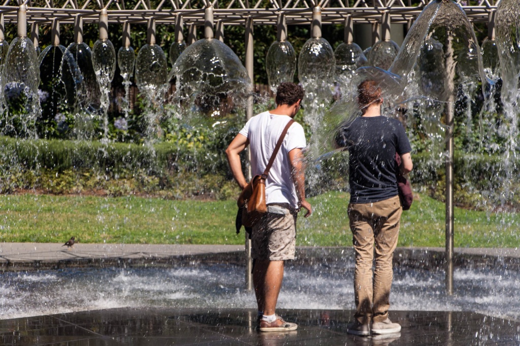 Im zoommber 27 décembre | 16h01