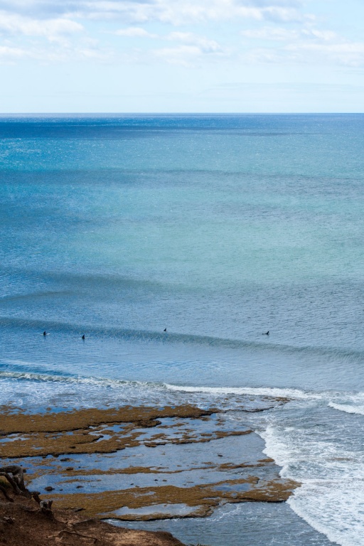 In zoomari 16 janvier - 10h50