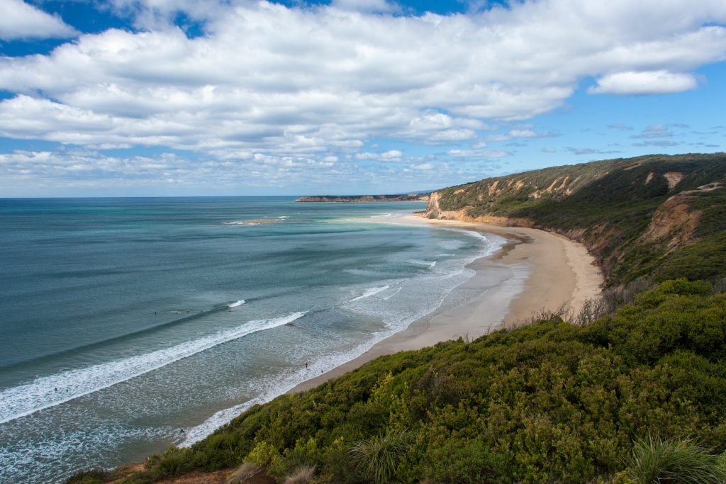 In zoomari 16 janvier - 10h51