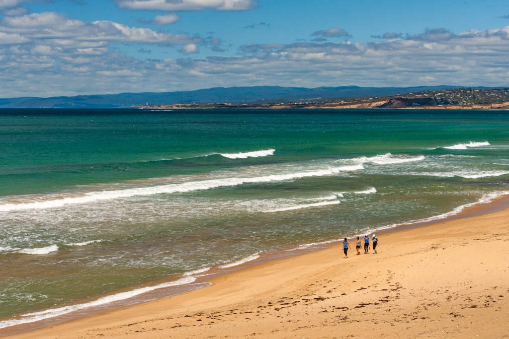 In zoomari 16 janvier - 11h16