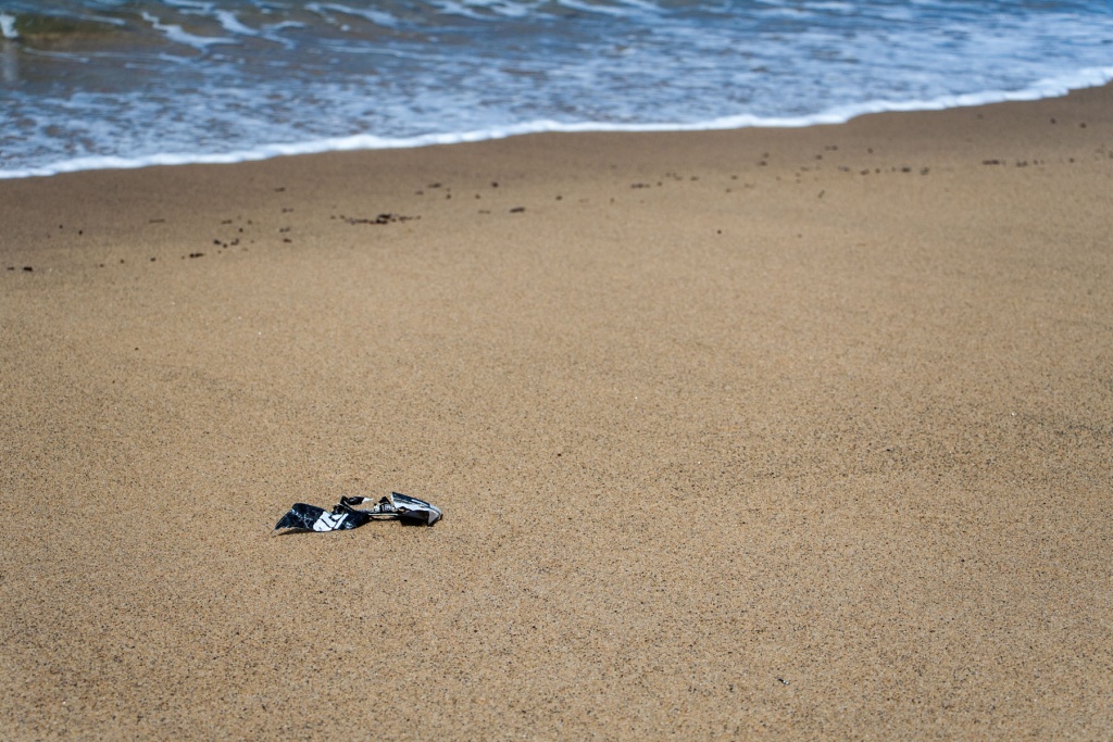 In zoomari 16 janvier - 11h19