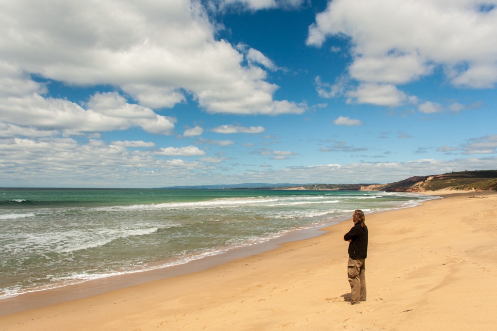 In zoomari 16 janvier - 11h20
