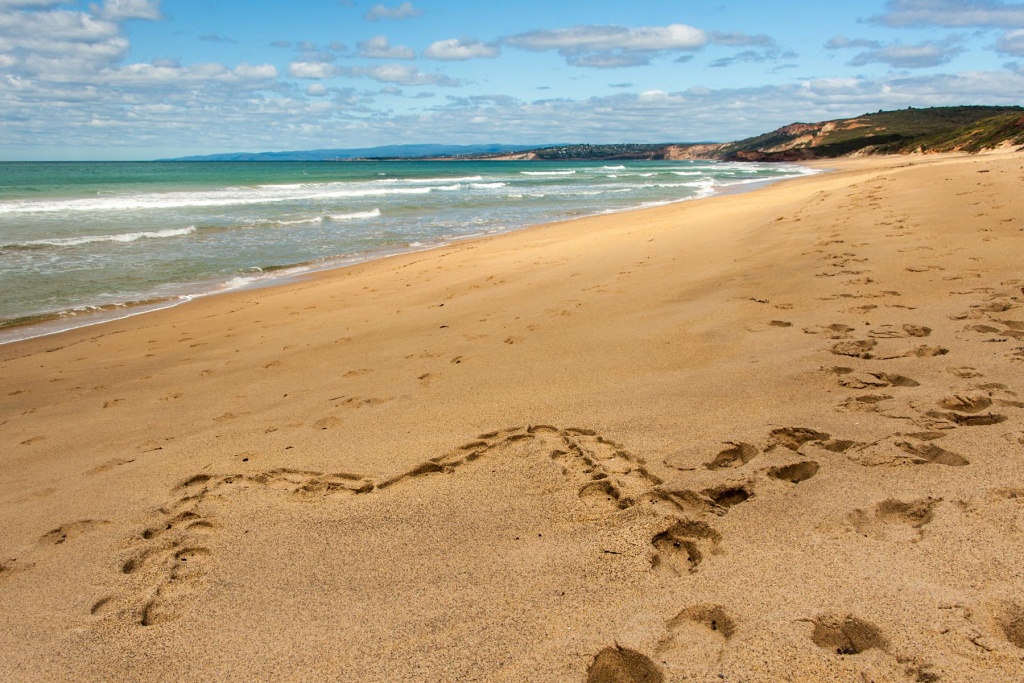 In zoomari 16 janvier - 11h33