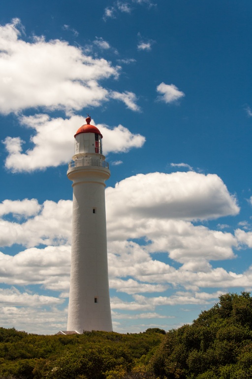 In zoomari 16 janvier - 12h26