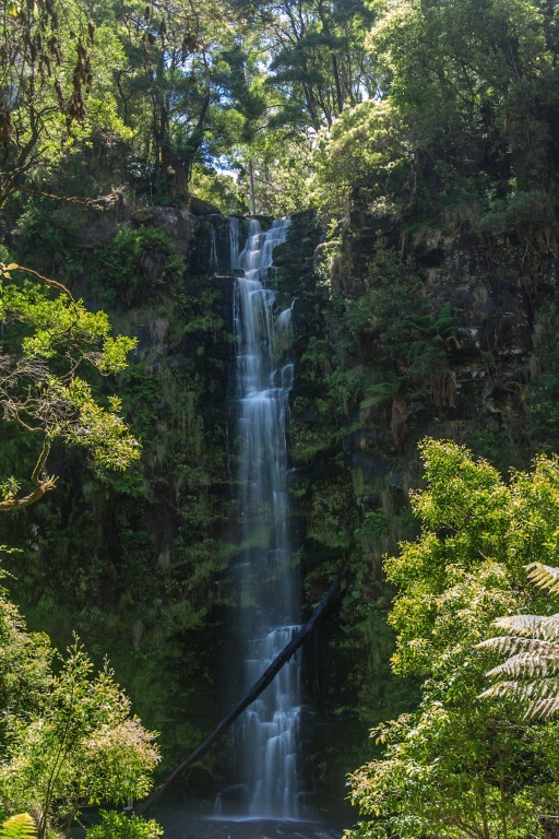 In zoomari 16 janvier - 14h50