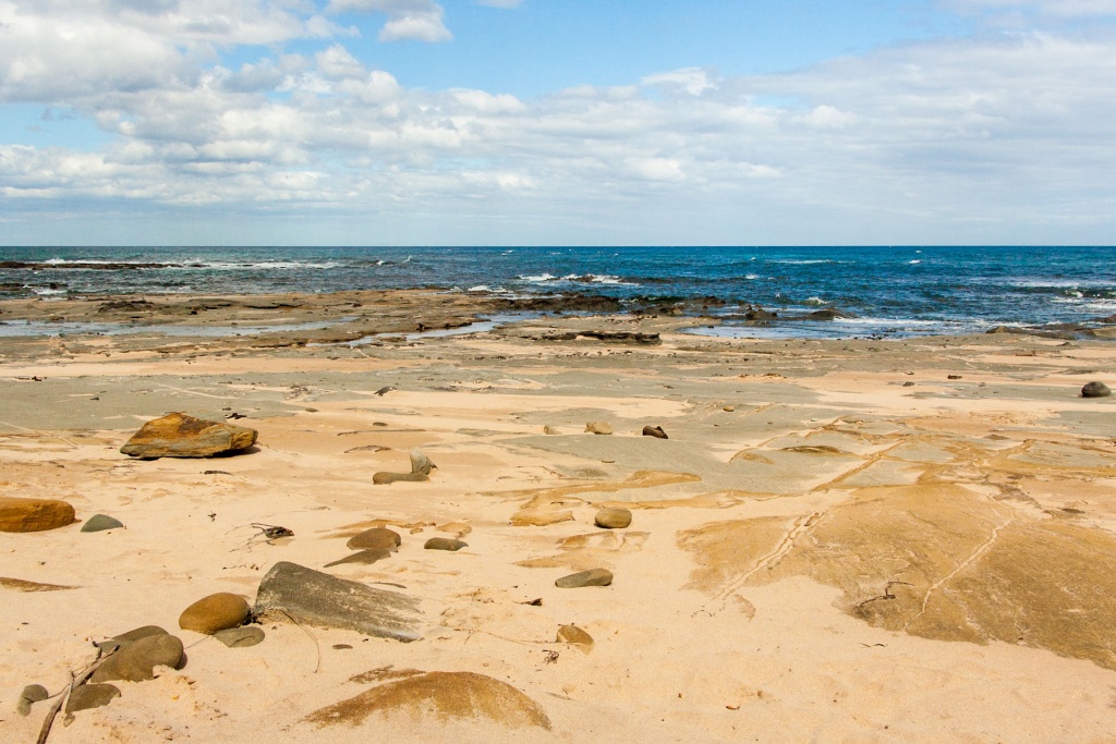 In zoomari 16 janvier - 16h30