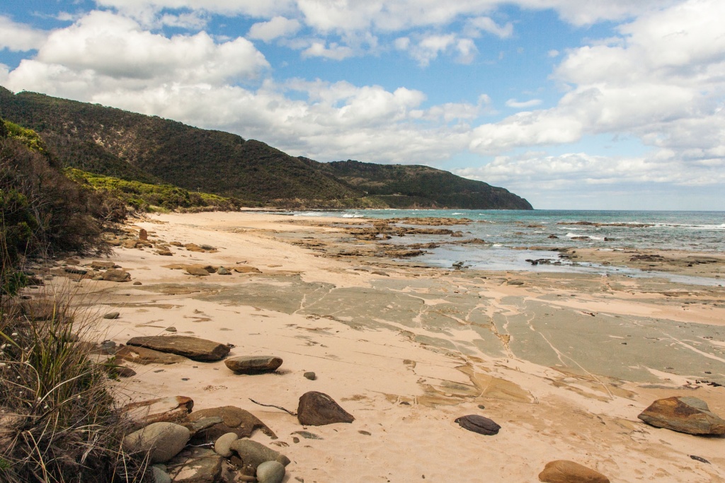 In zoomari 16 janvier - 16h31