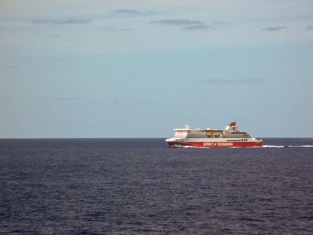 Im zoomar 19 janvier | 13h54