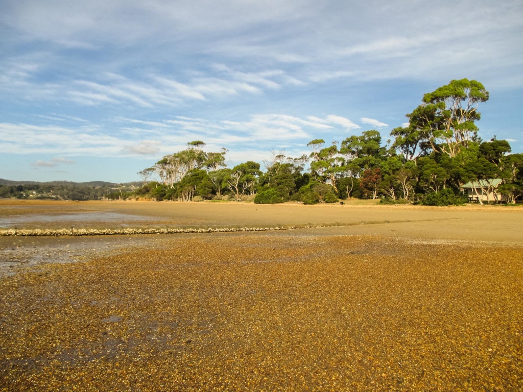 Zoom in 21 janvier | 18h17