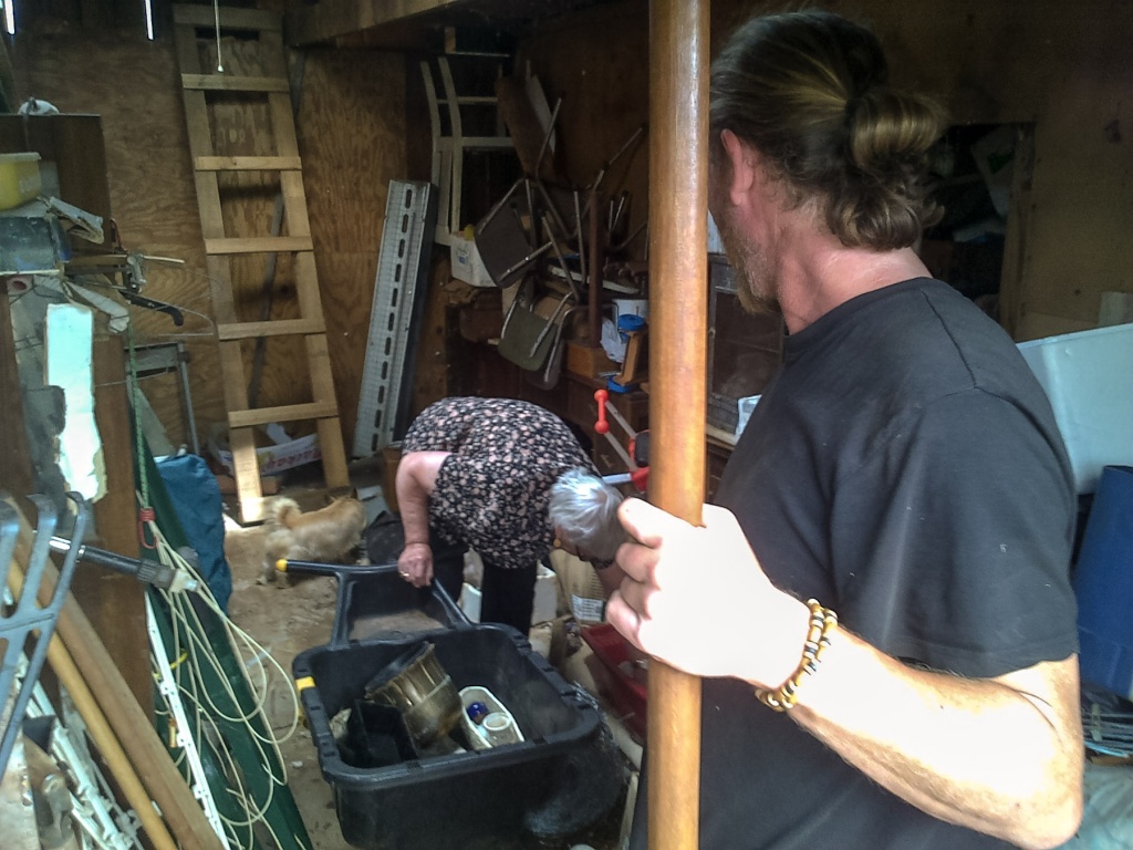 In zoomari 29 janvier | 15h27