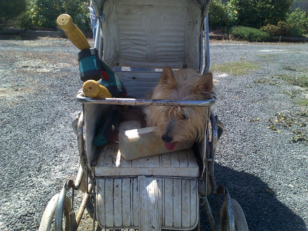 In zoomari 7 février | 15h05