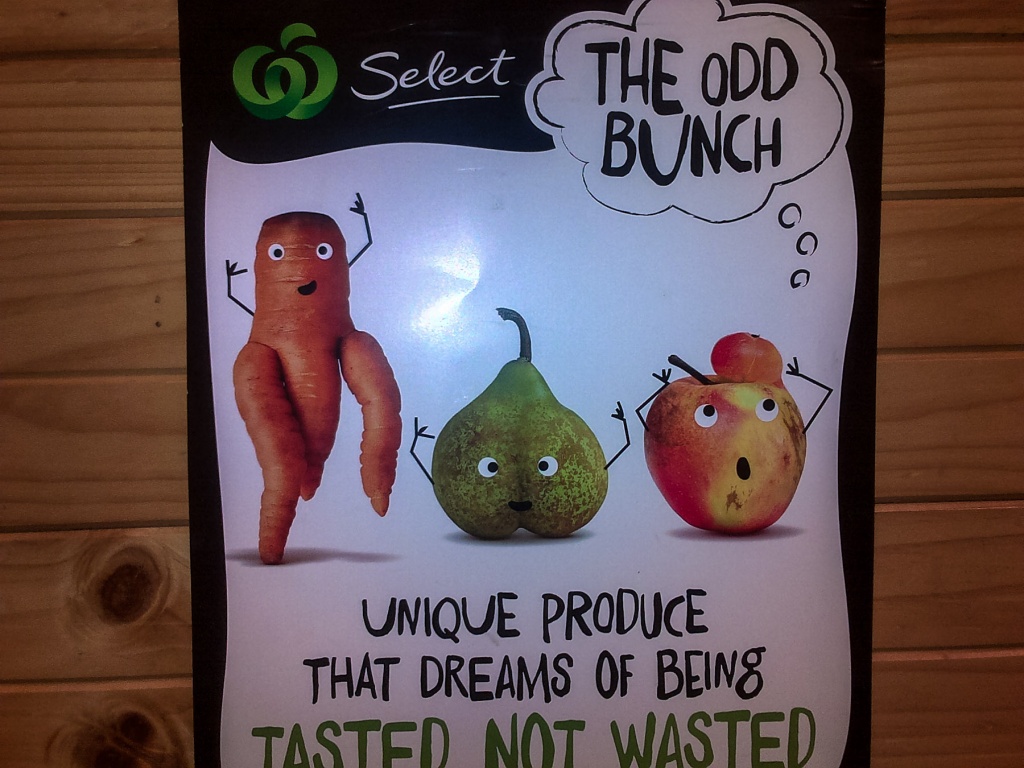 In zoomari 28 janvier | 15h55