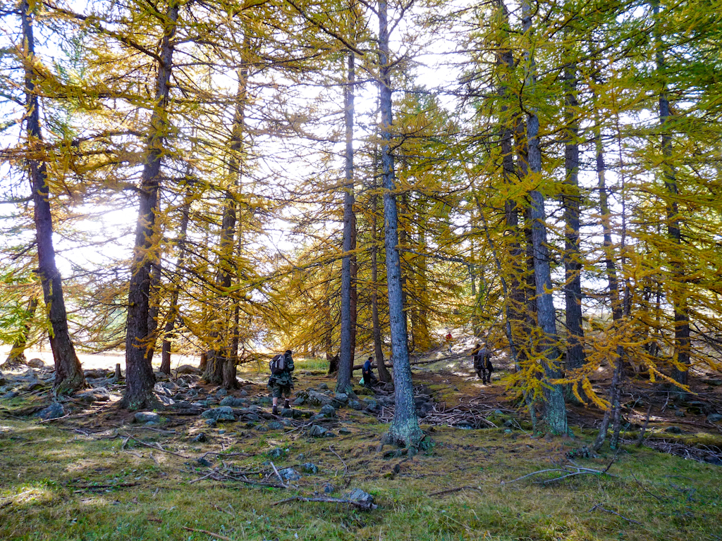 Zbliżenieziernik6 9 octobre | 9h36