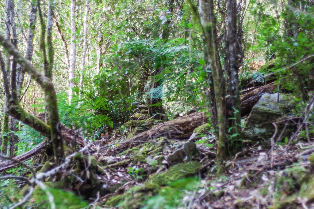 In zoomari 1 février | 19h09