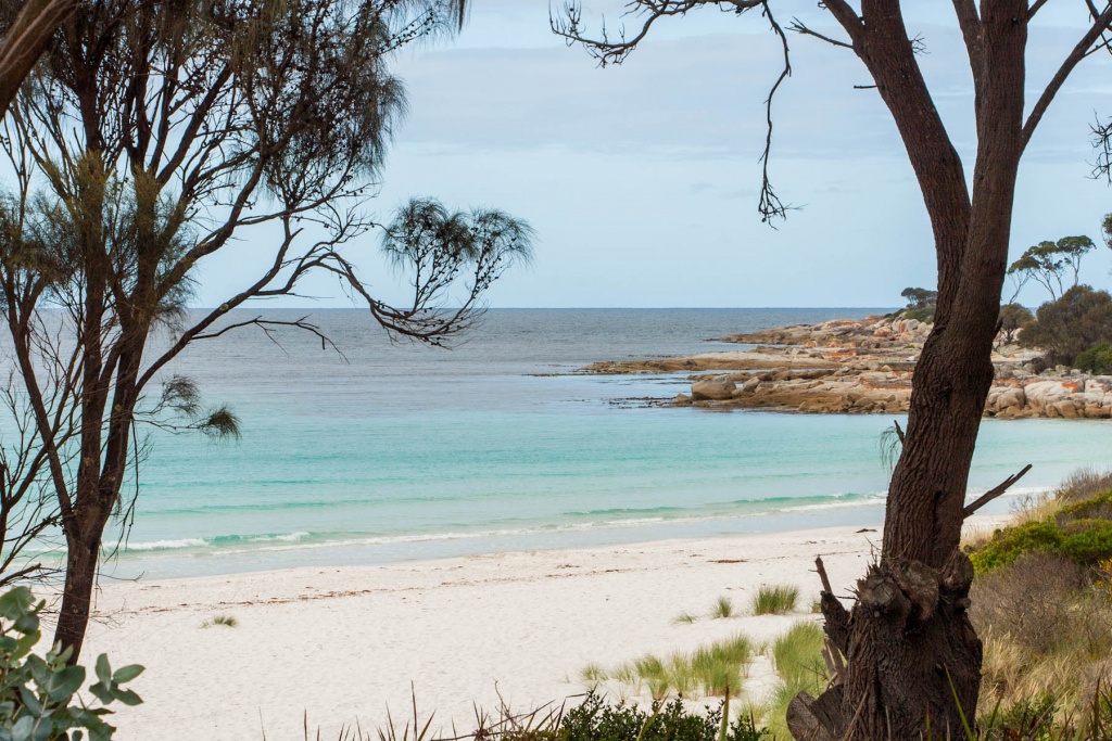 Zoom in 9 février | 16h26