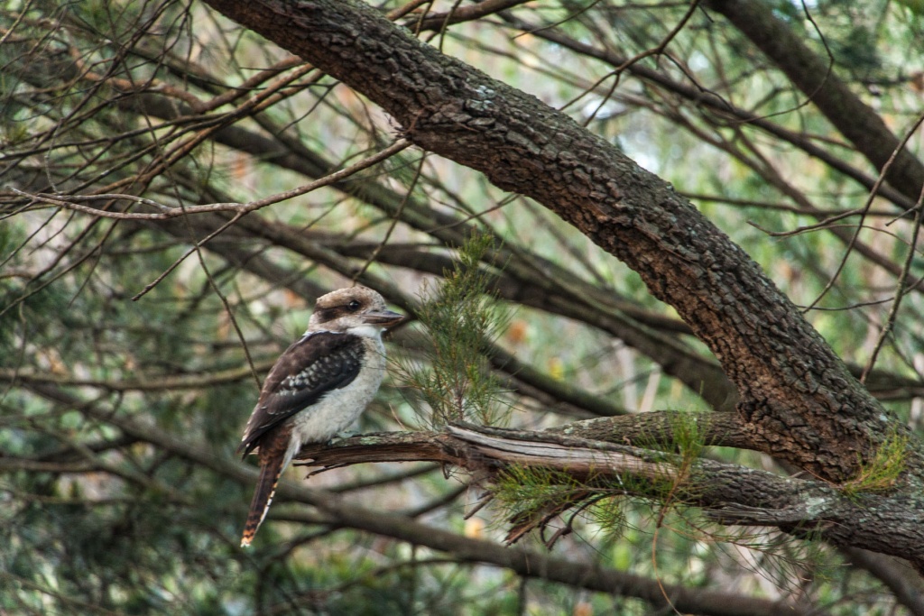 Zoom in 9 février | 19h48