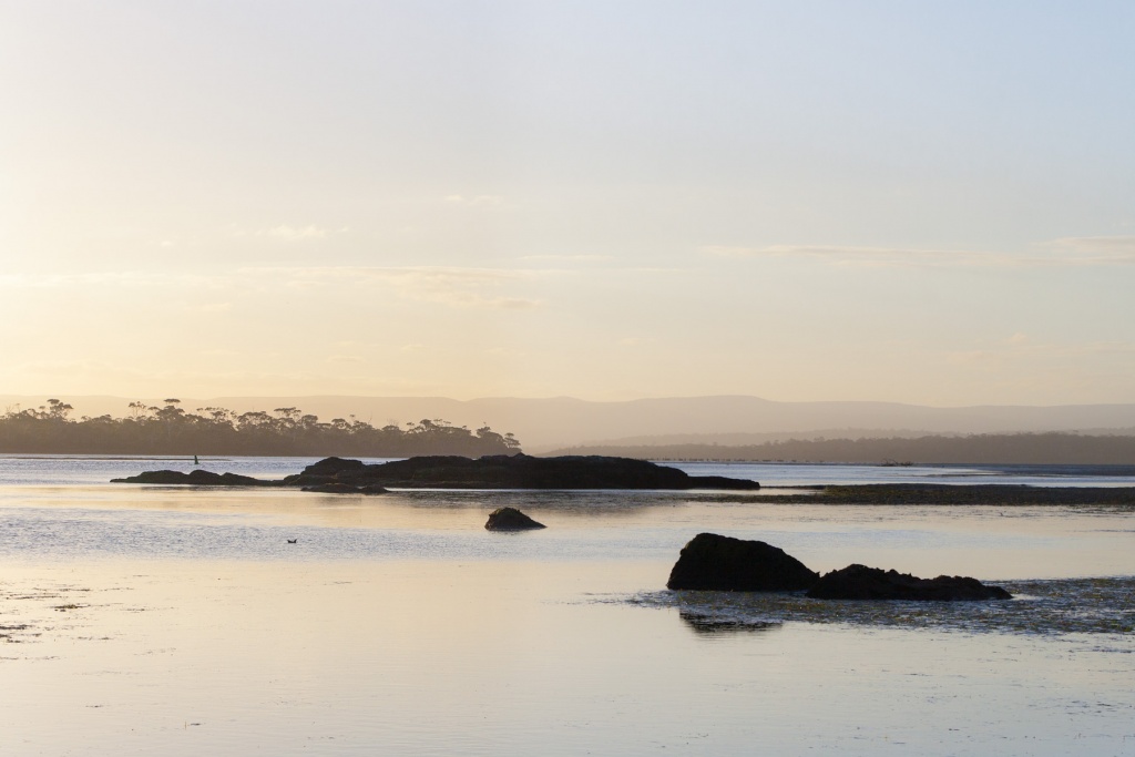 Zoom in 10 février | 19h41