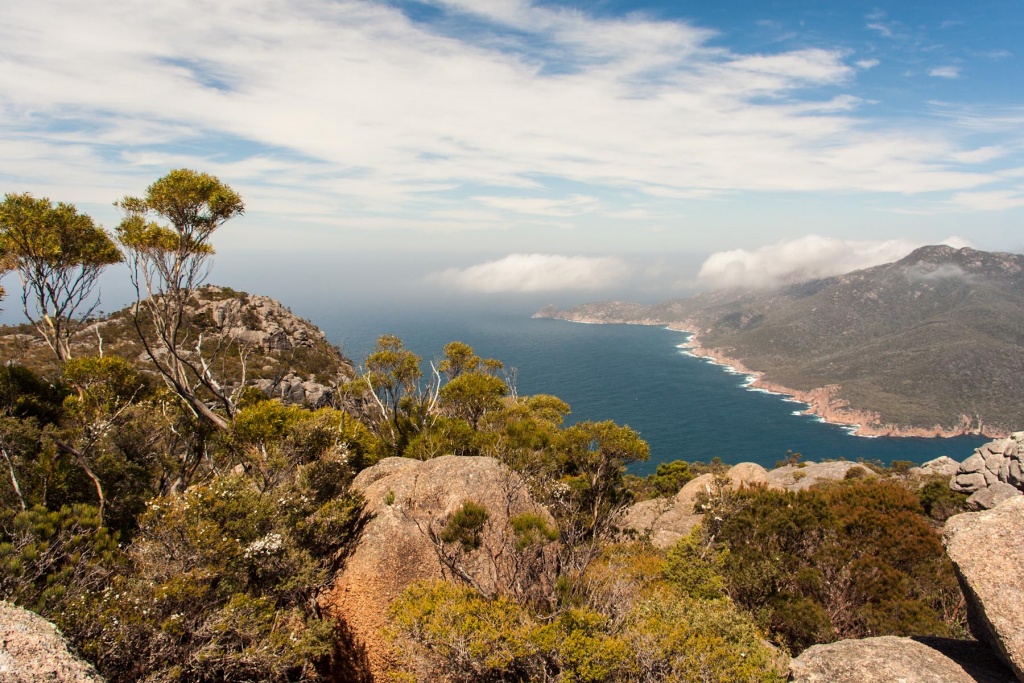 Zoom in 11 février | 15h01