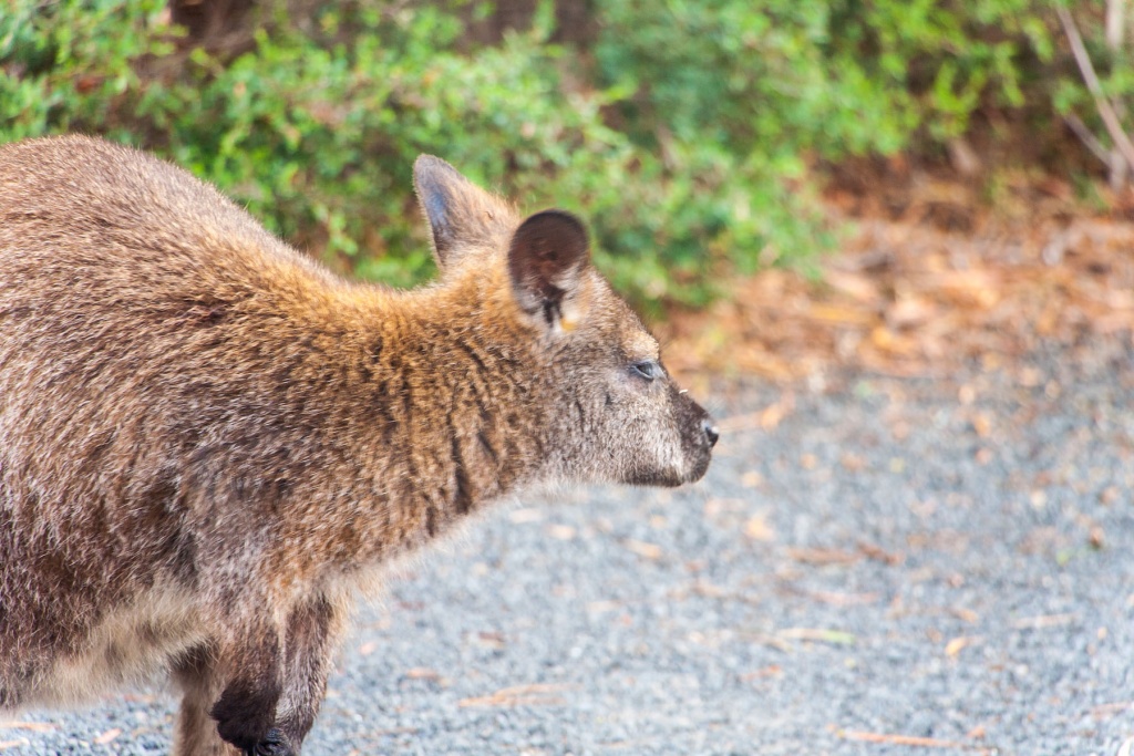 Zoom in 11 février | 16h50
