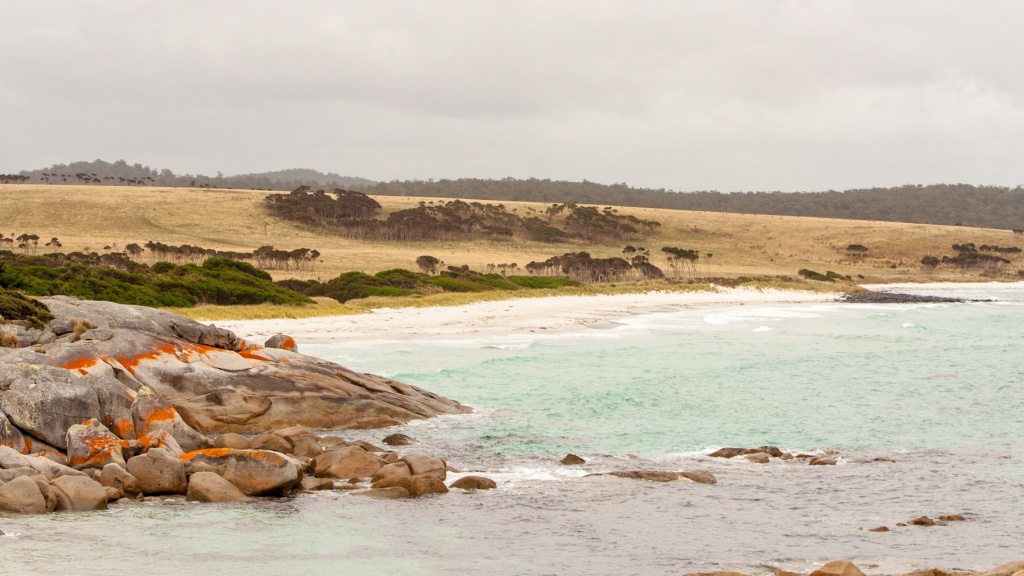 Zoom in 10 février | 12h55