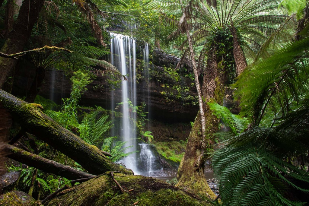 Zoom in 15 février - 12h51