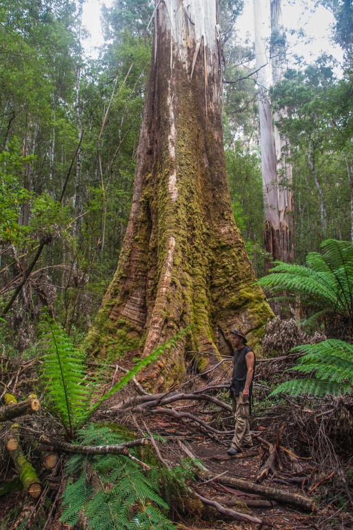 Zoom in 15 février - 13h32