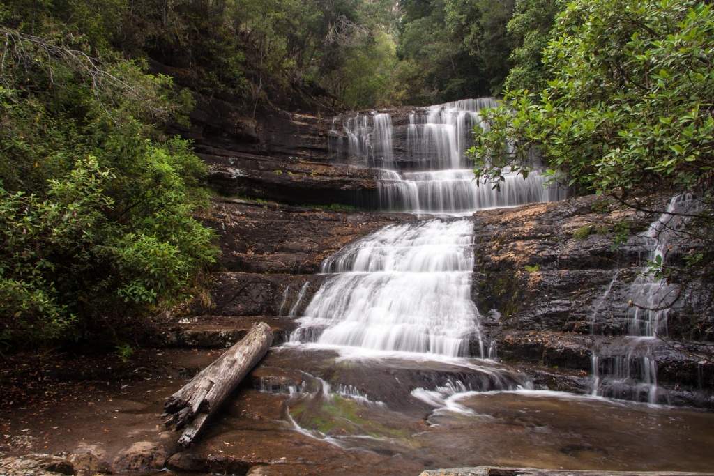 Zoom in 15 février - 14h09