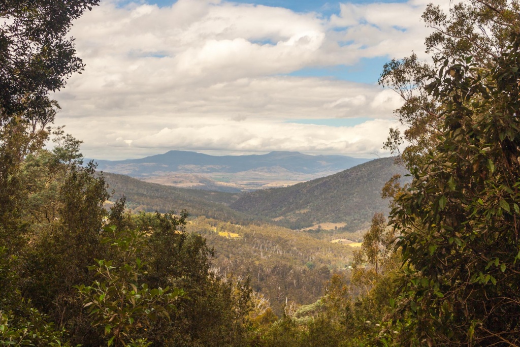 Zoom in 15 février - 15h23