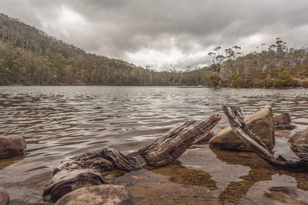 Zoom in 15 février - 15h51