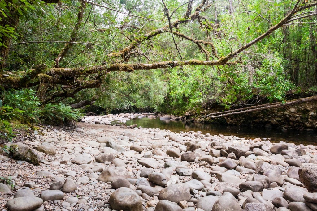 Zoom in 16 février - 14h32