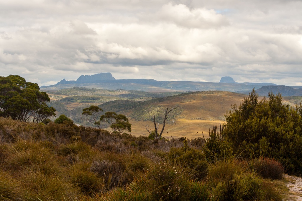 Zoom in 17 février - 15h33