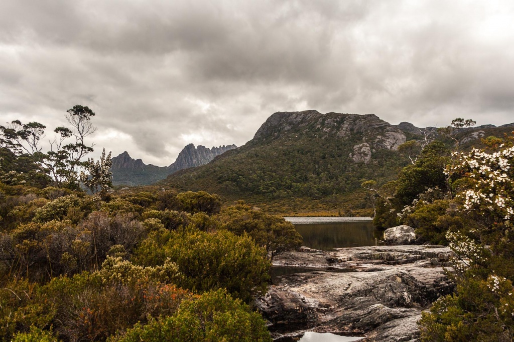 Zoom in 17 février - 17h01