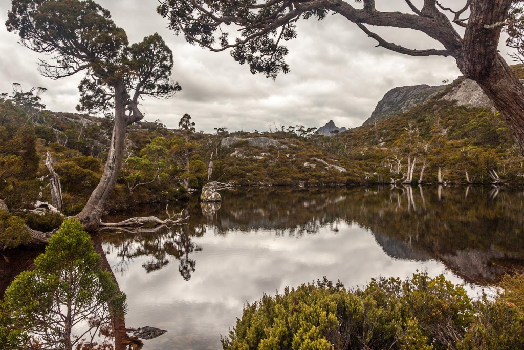 Zoom in 17 février - 17h15