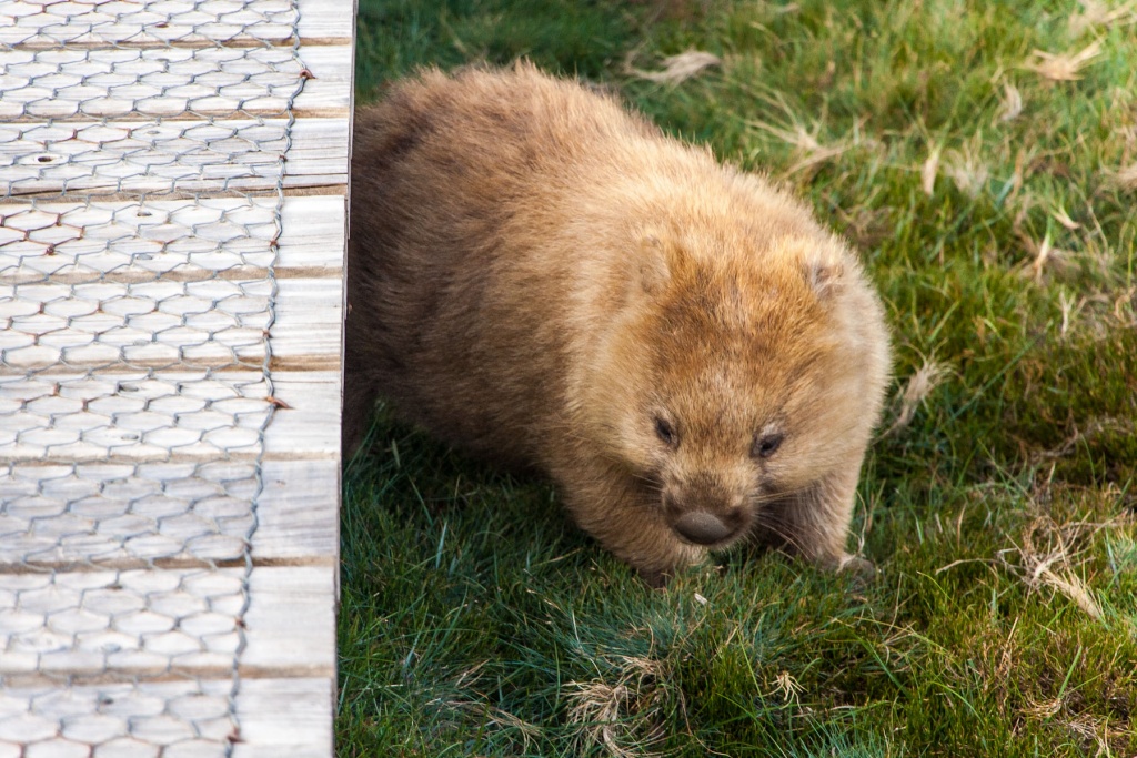Zoom in 17 février - 18h48
