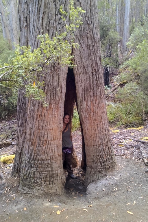 Zoom in 15 février - 14h42