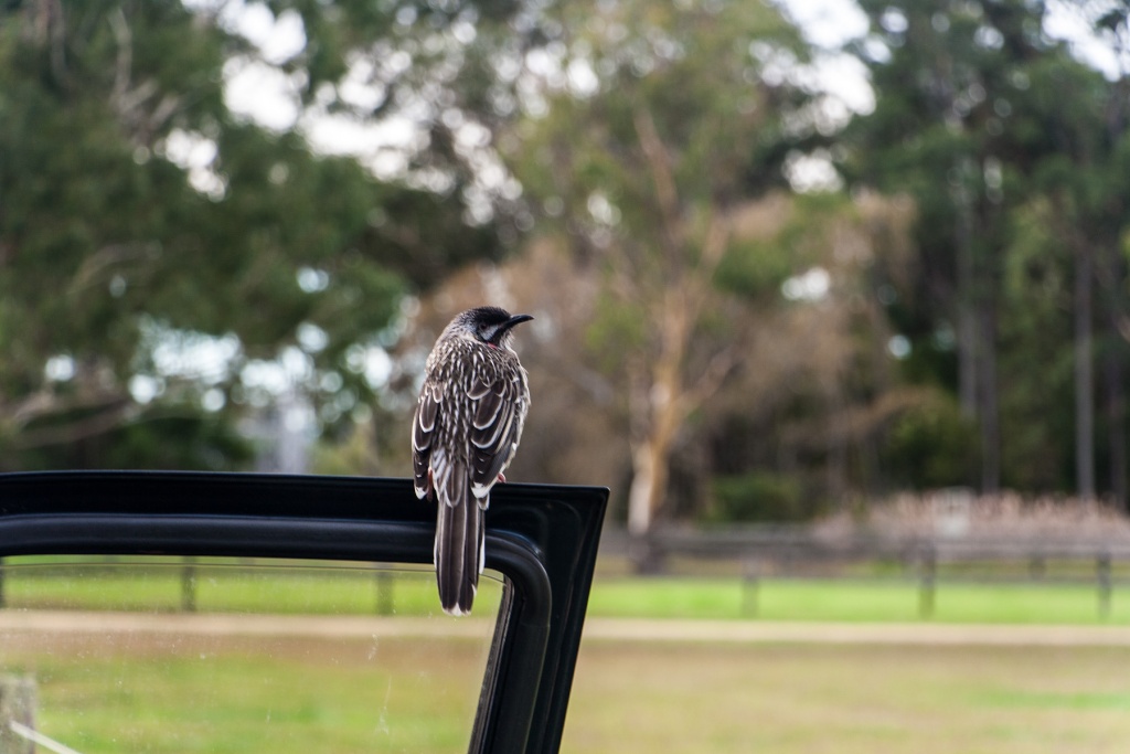 IngrandireùinH11 2 mai 2015 | 10h11