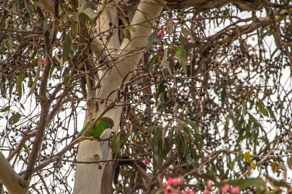 IngrandireùinH15 2 mai 2015 | 10h15