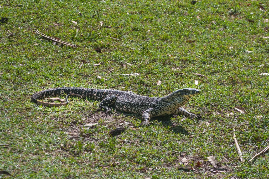 Im zoomnH20 20 mai | 10h20