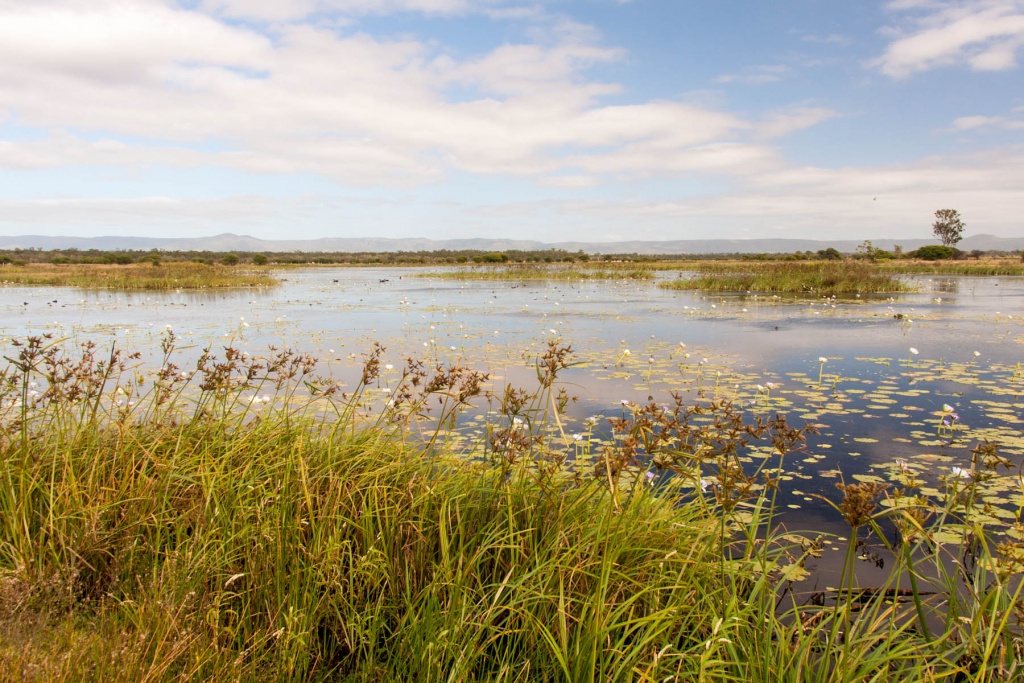 Im zoomnH56 24 mai | 9h56