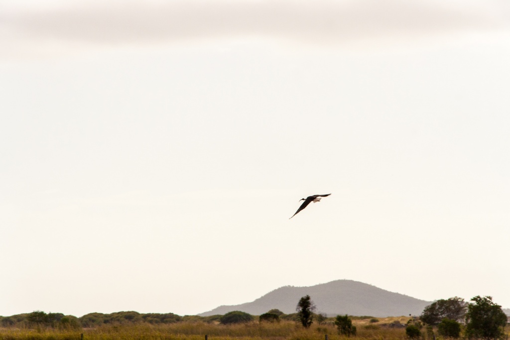 Im zoomnH26 24 mai | 10h26