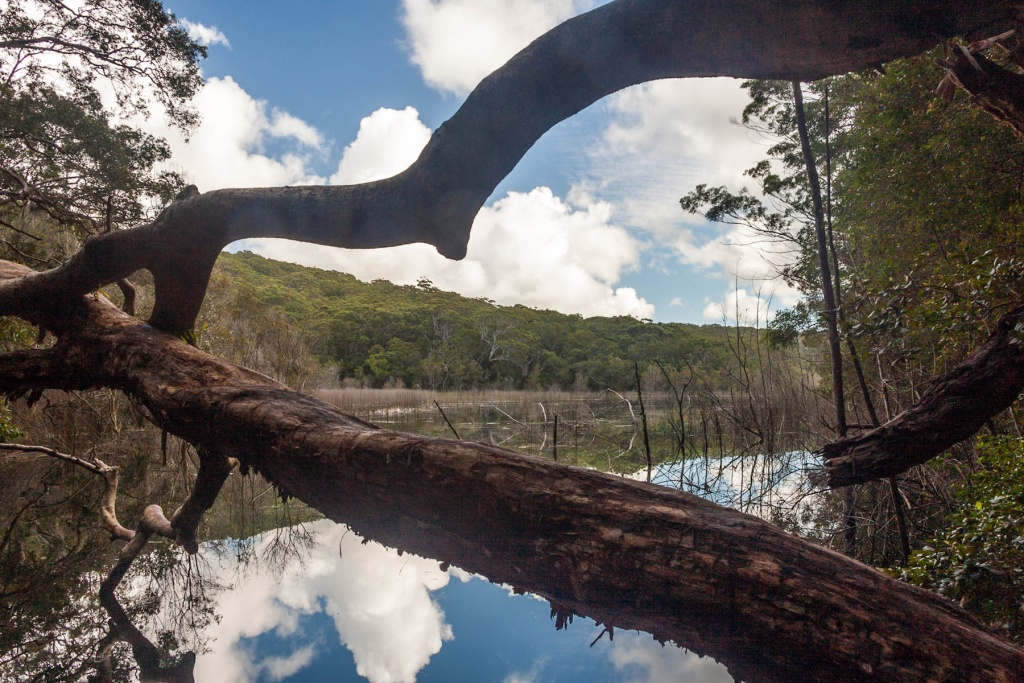 Im zoomnH12 20 mai | 11h12