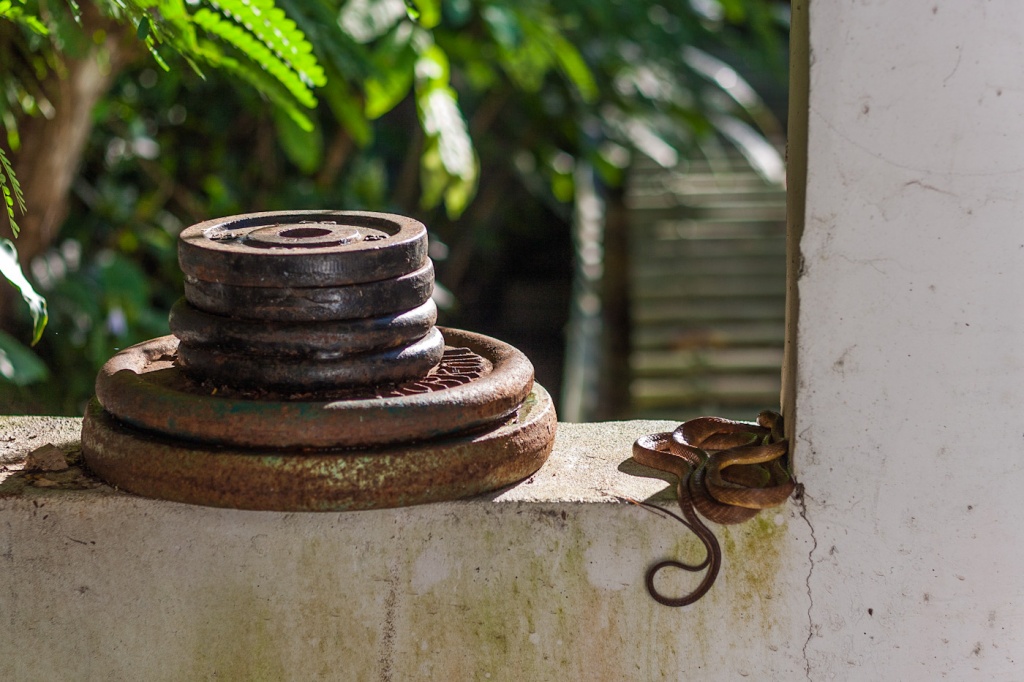 In zoomH36 19 juin | 8h36