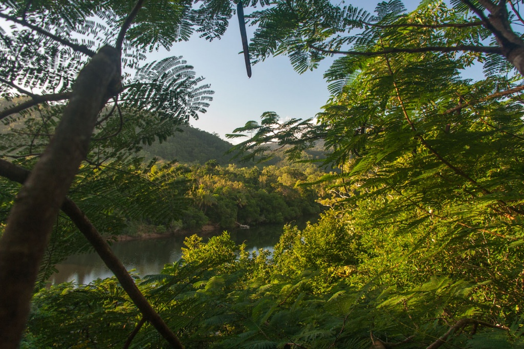 In zoomH35 22 juin | 7h35