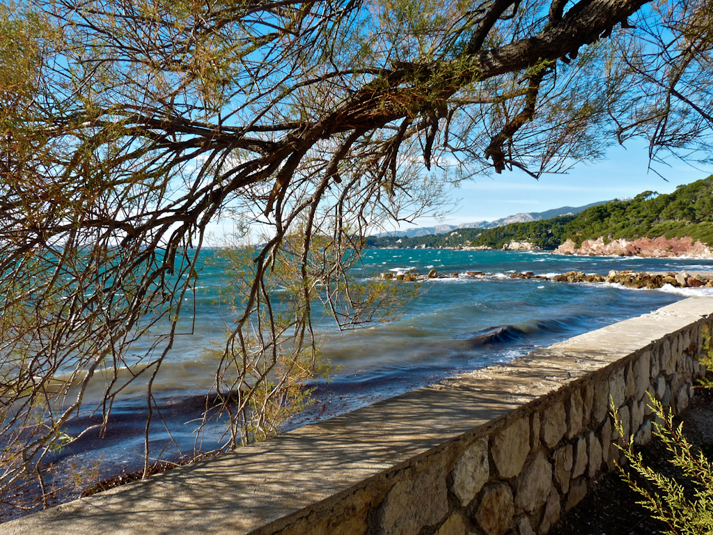 Im zoommber 11 novembre | 13h43