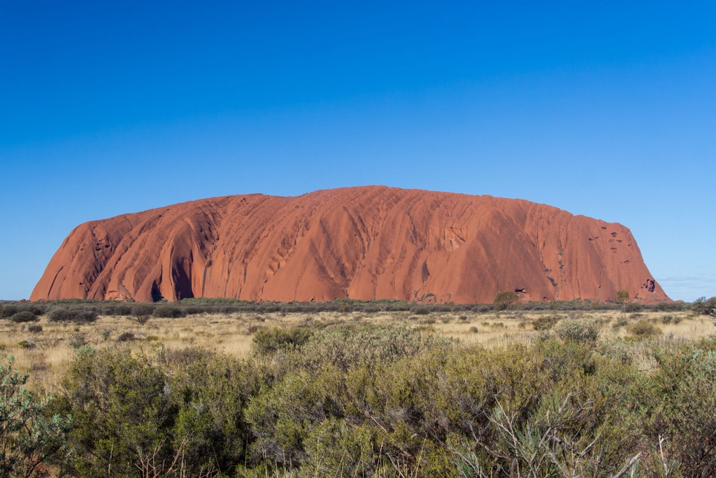 In zoom 6 juillet 2015 | 15h59