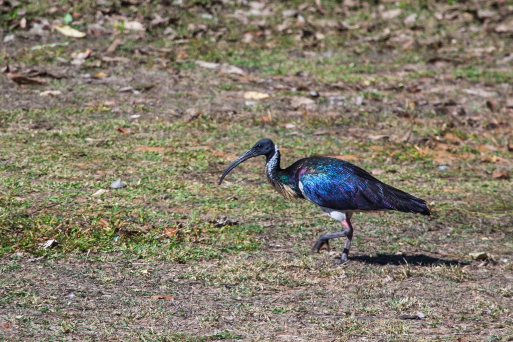 Zoom in 16 juillet 2015 | 15h08