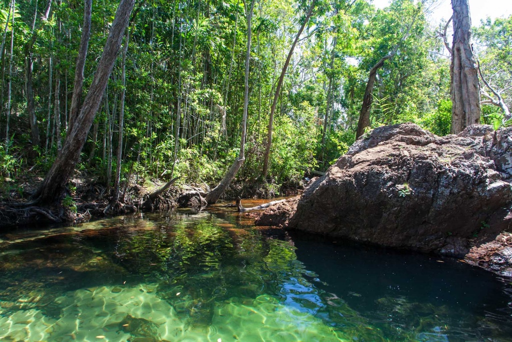 Zoom in 20 juillet 2015 | 12h25