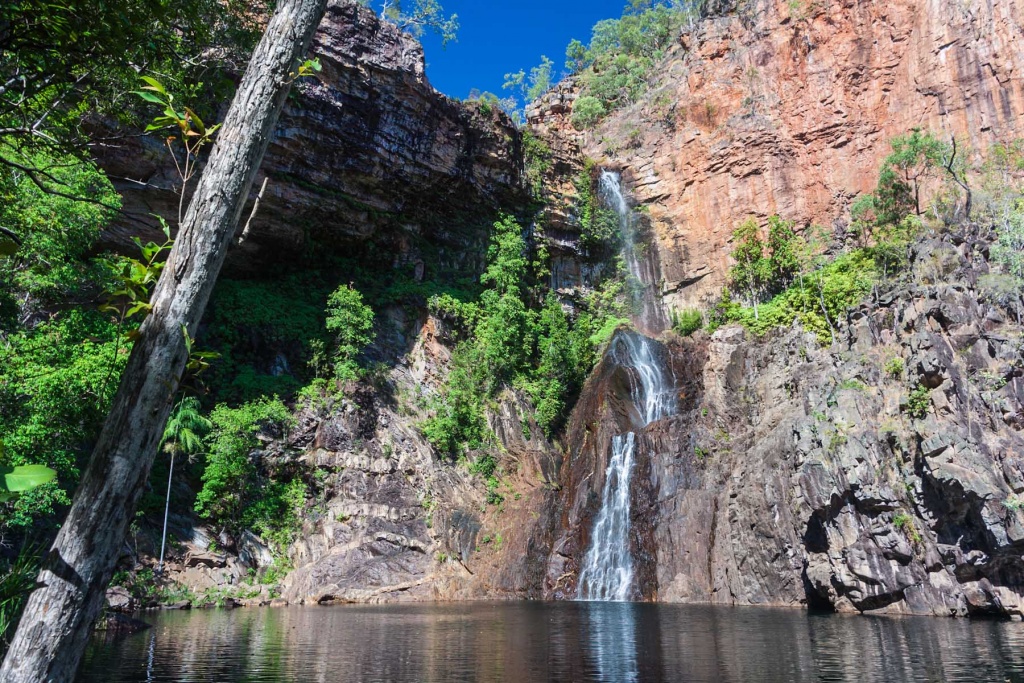 Zoom in 20 juillet 2015 | 14h51