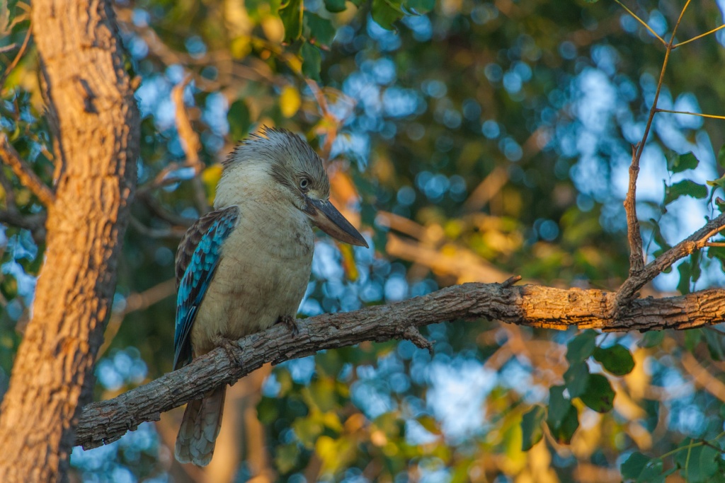 Zoom in 15 juillet 2015 | 18h13